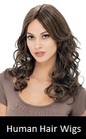 Human Hair Wigs